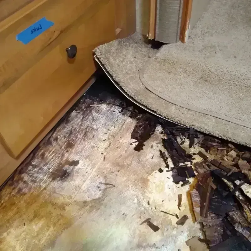 Best Wood Floor Water Damage Service in Murphy, MO